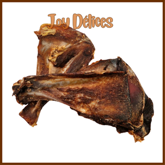 Omoplate de Sanglier