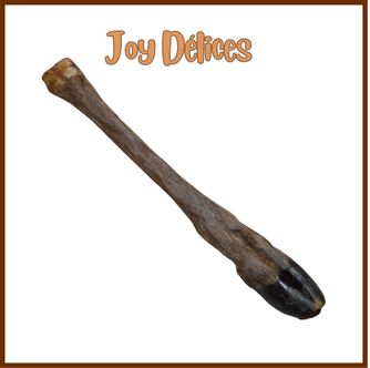 Patte de Cervidé avec poils - 1pc