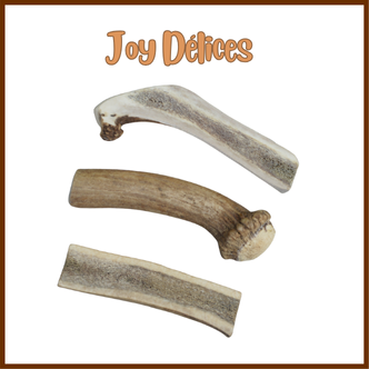 Bois de Cerf L Demi - 1pc