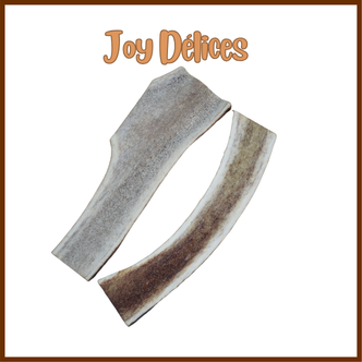 Bois de Cerf XL Demi - 1pc