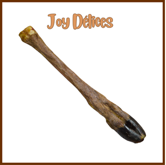 Patte de Cervidé avec poils